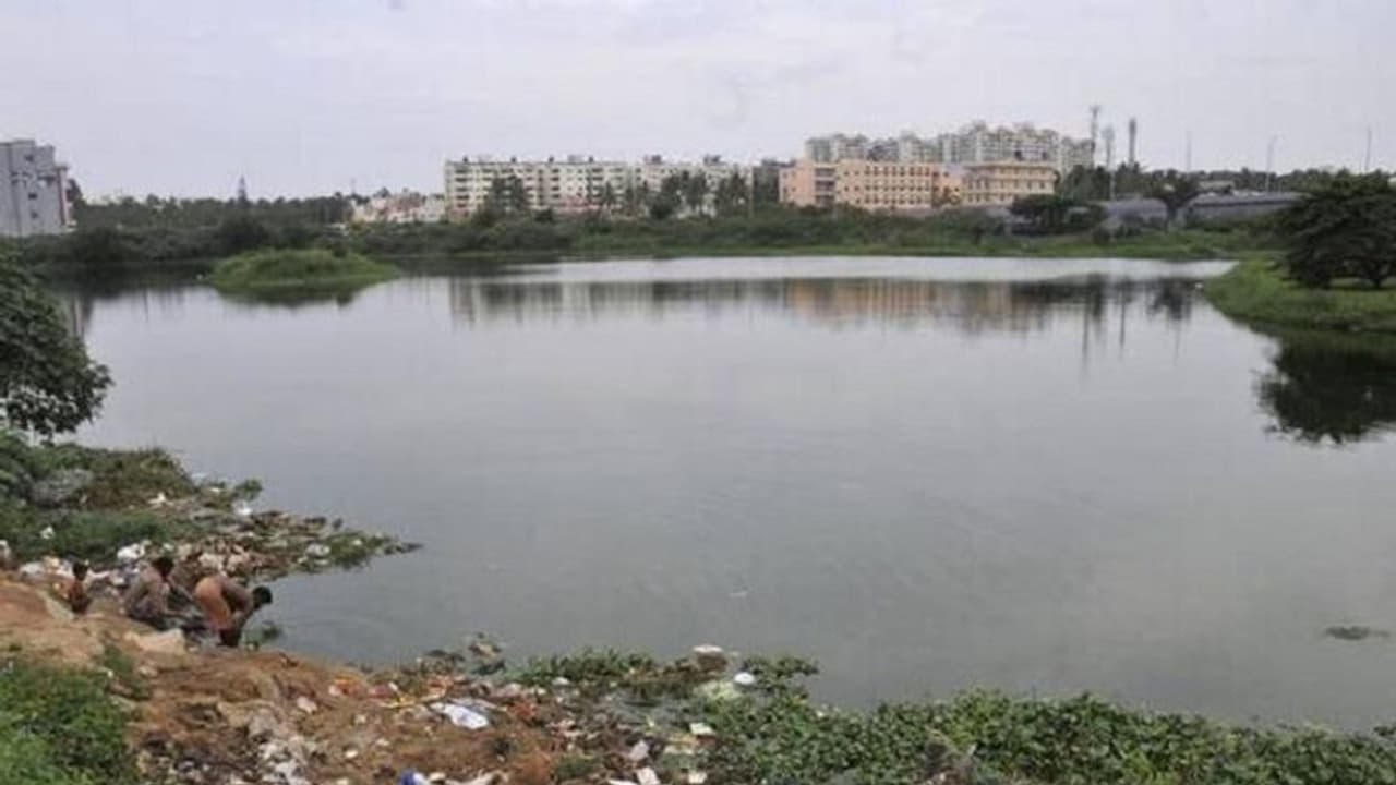 ನಗರದ ಕೆರೆಗಳ ಸಾಮೂಹಿಕ ಕಗ್ಗೊಲೆ! ನಗರದ ಕೆರೆಗಳ ಸಾಮೂಹಿಕ ಕಗ್ಗೊಲೆ!