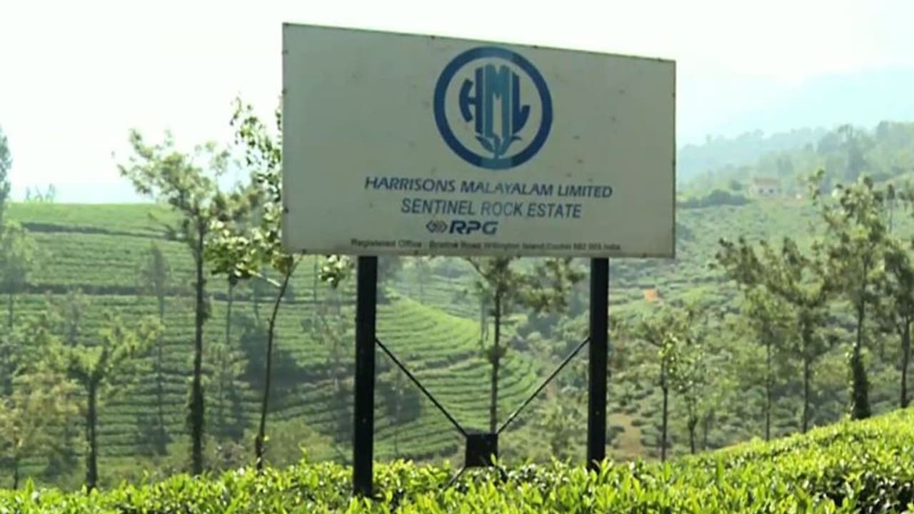 വയനാട് ഭൂമി ഏറ്റെടുക്കൽ: ഹാരിസൺ മലയാളം നൽകിയ അപ്പീലിനെതിരെ പ്രതിഷേധം; ഇന്ന് സിപിഎം മാർച്ച് വയനാട് ഭൂമി ഏറ്റെടുക്കൽ: ഹാരിസൺ മലയാളം നൽകിയ അപ്പീലിനെതിരെ പ്രതിഷേധം; ഇന്ന് സിപിഎം മാർച്ച്