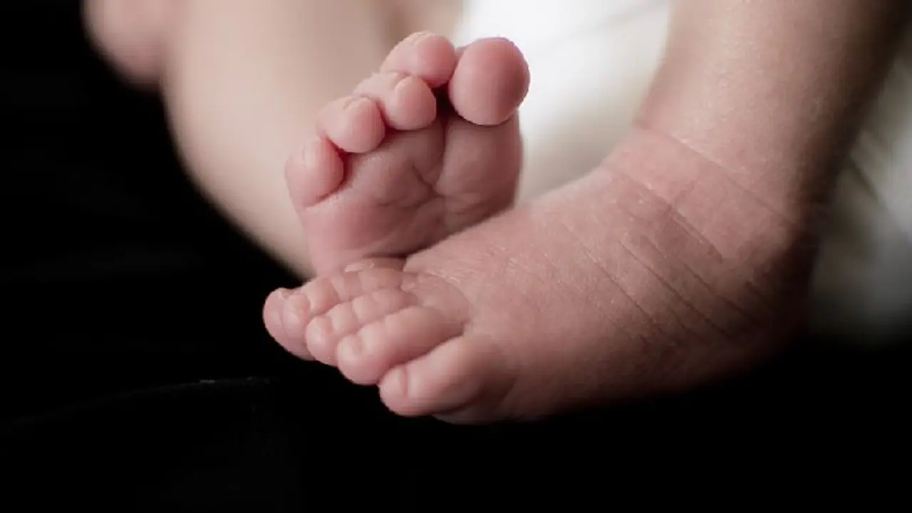 பிறந்த இரண்டு தினத்தில் முட்புதரில் வீசப்பட்ட குழந்தை! எலி கடித்து குதறி உயிரிழந்த பரிதாபம்! பிறந்த இரண்டு தினத்தில் முட்புதரில் வீசப்பட்ட குழந்தை! எலி கடித்து குதறி உயிரிழந்த பரிதாபம்!