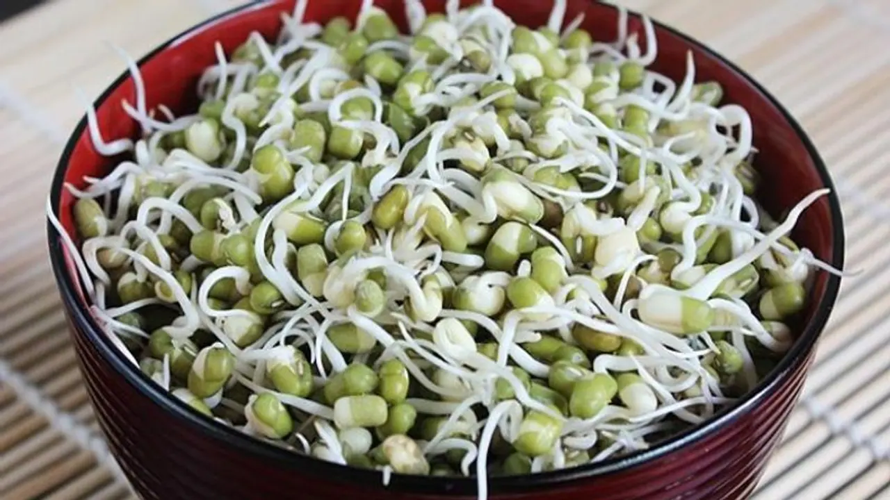 Health Tips : പ്രാതലിൽ മുളപ്പിച്ച ചെറുപ്പയർ ഉൾപ്പെടുത്തുന്നതിന്റെ ഗുണമിതാണ് Health Tips : പ്രാതലിൽ മുളപ്പിച്ച ചെറുപ്പയർ ഉൾപ്പെടുത്തുന്നതിന്റെ ഗുണമിതാണ്