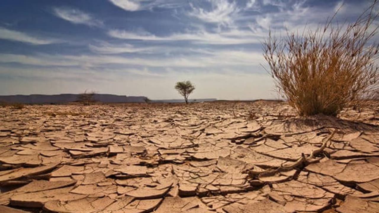 കേരളം പൊള്ളുന്നു; ഉഷ്ണതരംഗത്തിനും സൂര്യാഘാതത്തിനും സാധ്യത കേരളം പൊള്ളുന്നു; ഉഷ്ണതരംഗത്തിനും സൂര്യാഘാതത്തിനും സാധ്യത