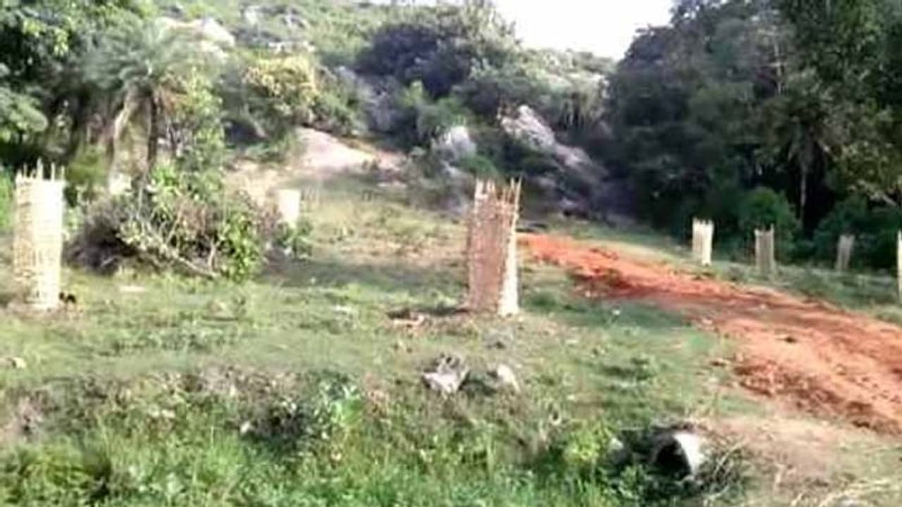 సమాధిని తవ్వి తల తీసుకెళ్లిన దుండగులు సమాధిని తవ్వి తల తీసుకెళ్లిన దుండగులు