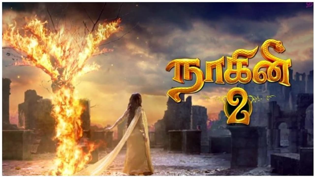 நாகினி சீரியல் நடிகையை பாத்ரூமில் அடித்து நொறுக்கிய கணவன்! குடியால் நேர்ந்த கொடுமை! நாகினி சீரியல் நடிகையை பாத்ரூமில் அடித்து நொறுக்கிய கணவன்! குடியால் நேர்ந்த கொடுமை!