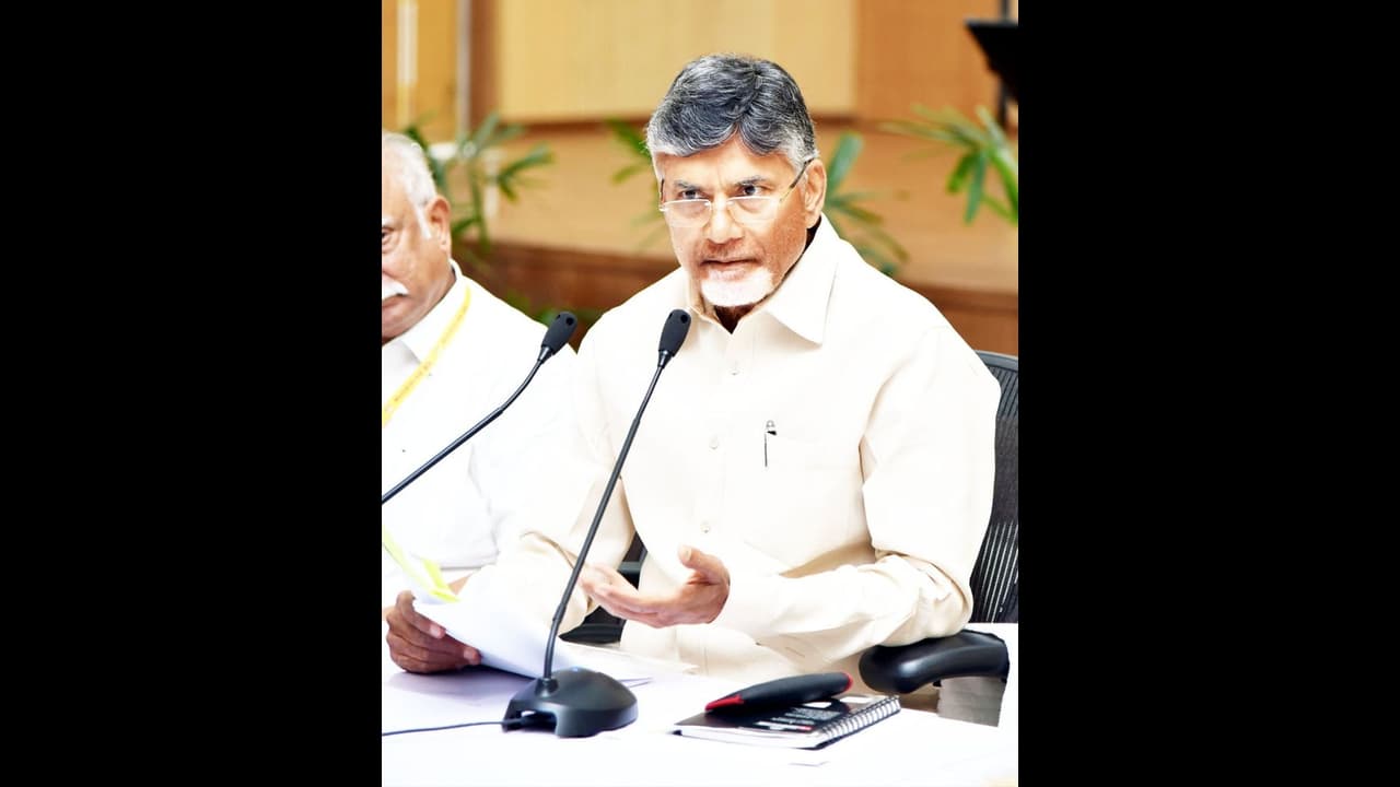 దొంగ సర్వేలతో వైసీపీ కుట్ర, టీడీపీ విజయాన్ని ఆపలేరు: బాబు దొంగ సర్వేలతో వైసీపీ కుట్ర, టీడీపీ విజయాన్ని ఆపలేరు: బాబు