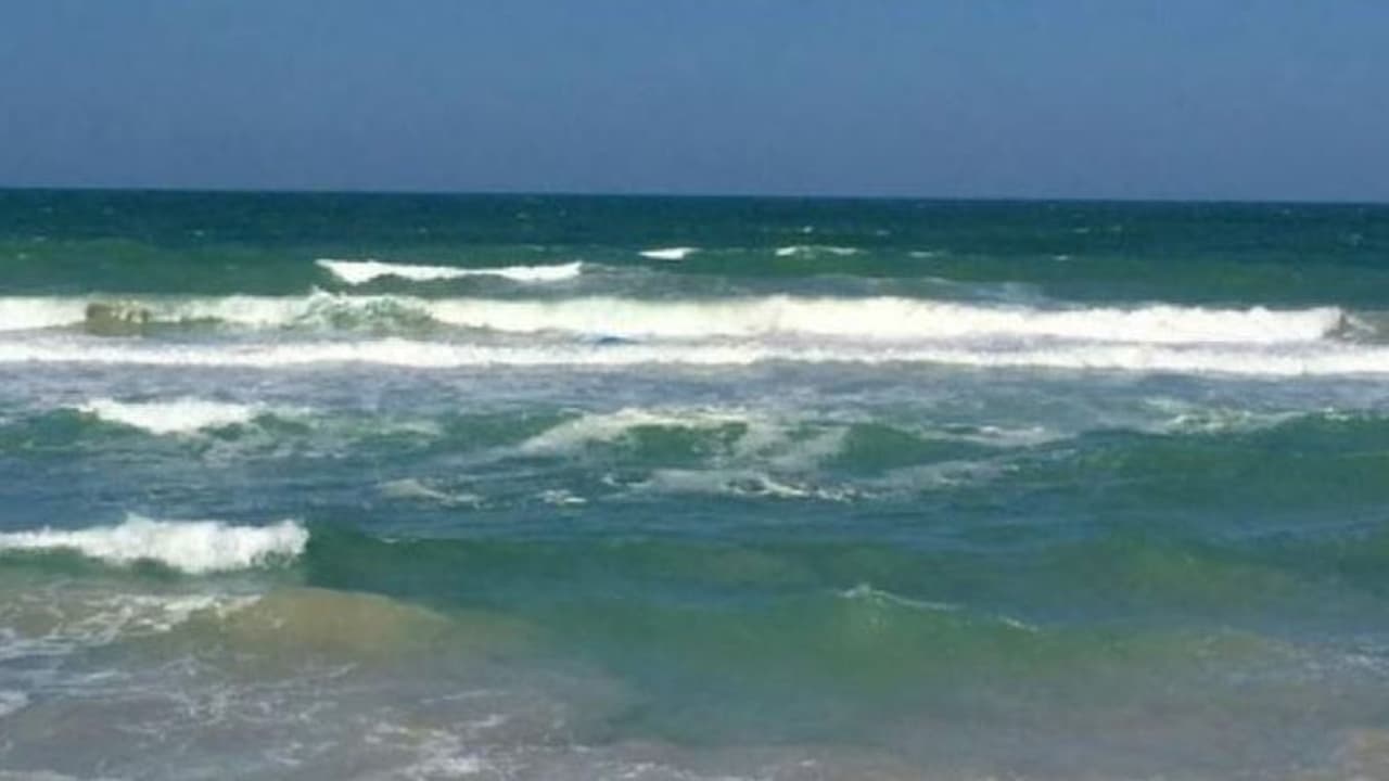 Two swimmers from UK, US make it from Sri Lanka to Dhanushkodi in 7 hours Two swimmers from UK, US make it from Sri Lanka to Dhanushkodi in 7 hours