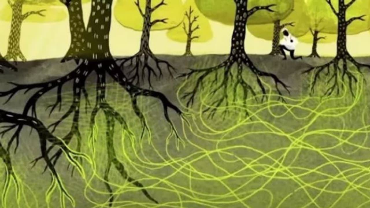 മണ്ണിന്നടിയില് വേരുകള് കൊണ്ടവര് കെട്ടിപ്പിടിക്കുന്നുണ്ട്.... മണ്ണിന്നടിയില് വേരുകള് കൊണ്ടവര് കെട്ടിപ്പിടിക്കുന്നുണ്ട്....