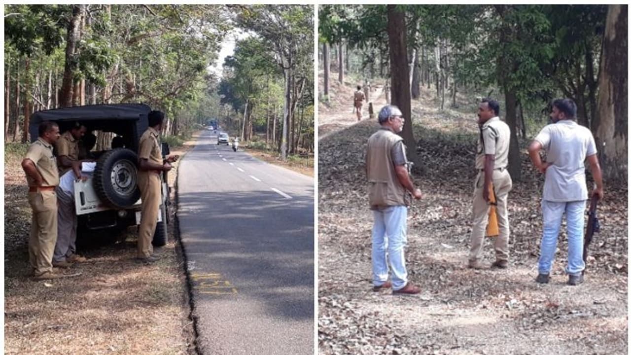 ഭീതി പരത്തി കാട്ടാന; വടക്കനാട് കൊമ്പനെ ഇന്നും പിടിക്കാനായില്ല ഭീതി പരത്തി കാട്ടാന; വടക്കനാട് കൊമ്പനെ ഇന്നും പിടിക്കാനായില്ല