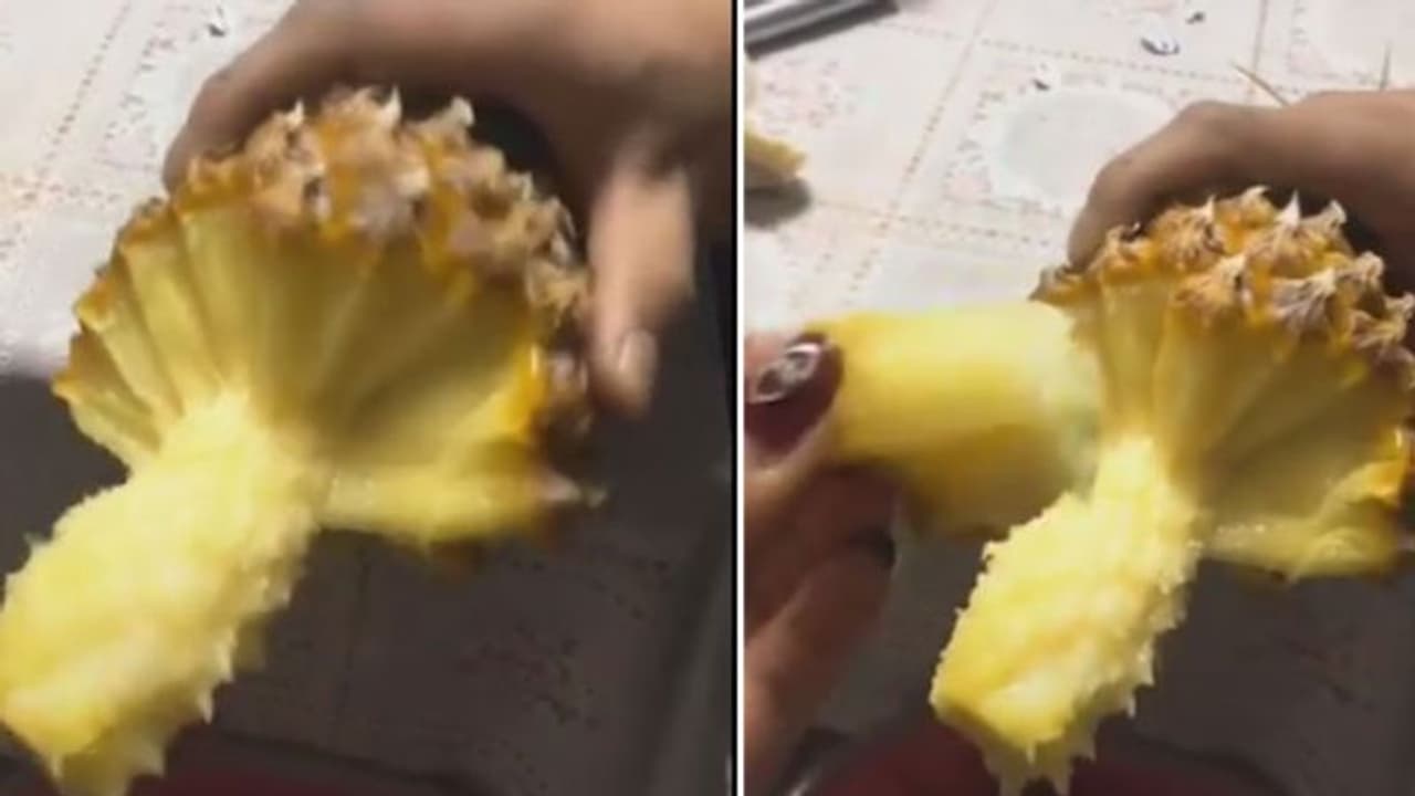 ശ്ശെടാ! ഒരു പൈനാപ്പിള് തിന്നുന്നതിനാണ് ഇത്ര മേളം; ഒന്ന് കണ്ട് നോക്കൂ... ശ്ശെടാ! ഒരു പൈനാപ്പിള് തിന്നുന്നതിനാണ് ഇത്ര മേളം; ഒന്ന് കണ്ട് നോക്കൂ...