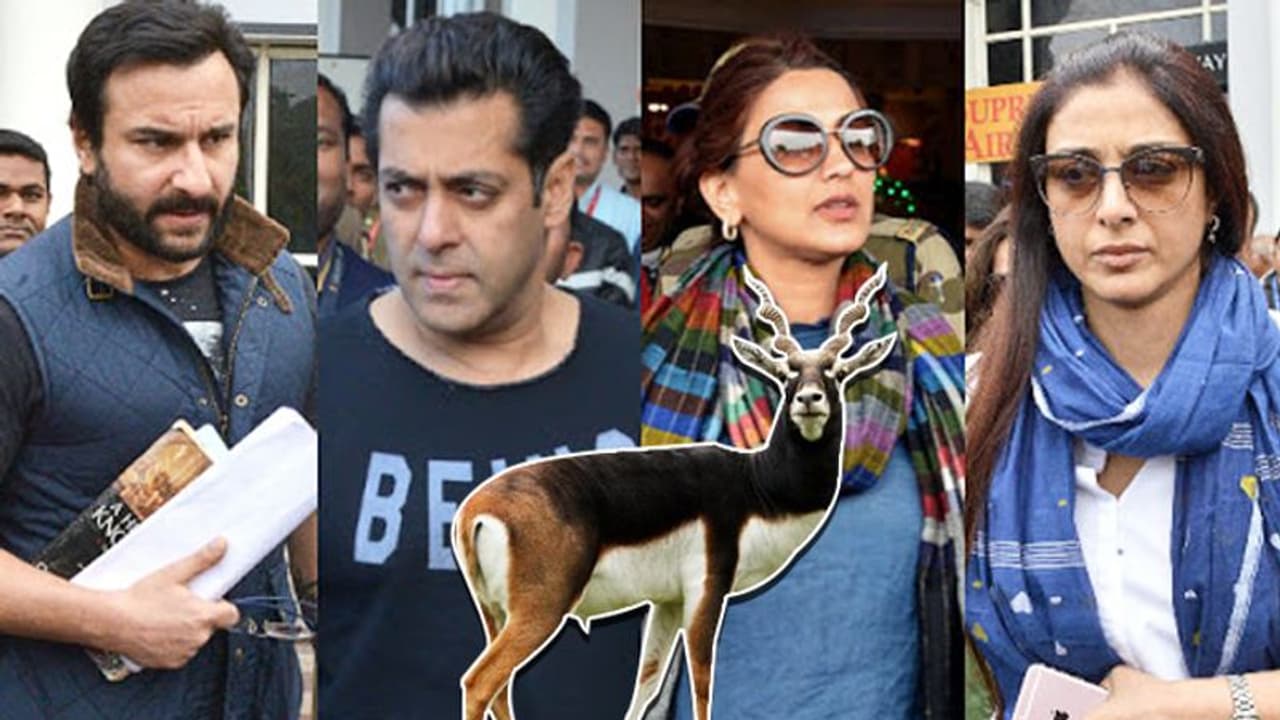 Blackbuck case: HC notice to Saif, Sonali, Tabu, Neelam after Rajasthan govt challenges their acquittal Blackbuck case: HC notice to Saif, Sonali, Tabu, Neelam after Rajasthan govt challenges their acquittal