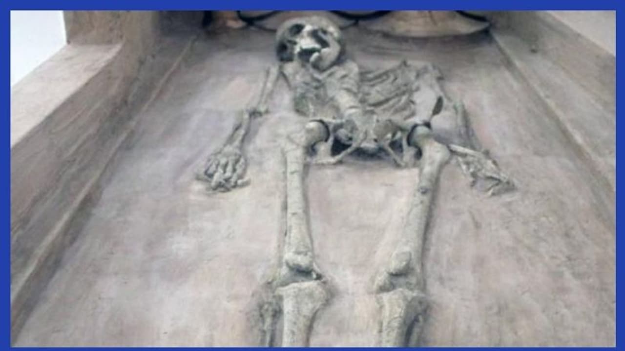 5000 കൊല്ലം പഴക്കമുള്ള മനുഷ്യ അസ്ഥികൂടം ഗുജറാത്തില് കണ്ടെത്തി 5000 കൊല്ലം പഴക്കമുള്ള മനുഷ്യ അസ്ഥികൂടം ഗുജറാത്തില് കണ്ടെത്തി