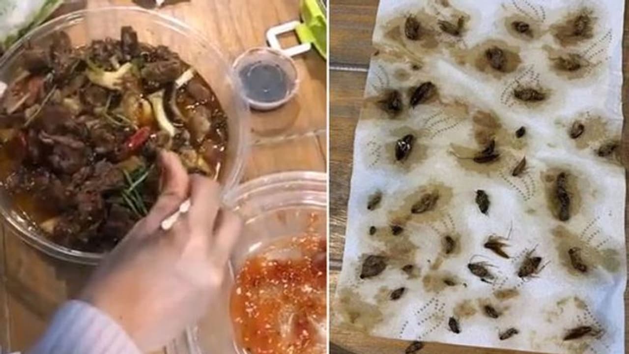 ഓൺലൈനിൽ നിന്നും ഭക്ഷണം വാങ്ങി; പൊതി തുറന്നപ്പോൾ യുവതി കണ്ടത് ഞെട്ടിക്കുന്ന കാഴ്ച ഓൺലൈനിൽ നിന്നും ഭക്ഷണം വാങ്ങി; പൊതി തുറന്നപ്പോൾ യുവതി കണ്ടത് ഞെട്ടിക്കുന്ന കാഴ്ച