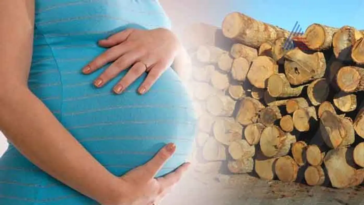 ಮರ ಕಡಿಯೋದನ್ನು ಗರ್ಭಿಣಿ ನೋಡಬಾರದೆ? ಮರ ಕಡಿಯೋದನ್ನು ಗರ್ಭಿಣಿ ನೋಡಬಾರದೆ?