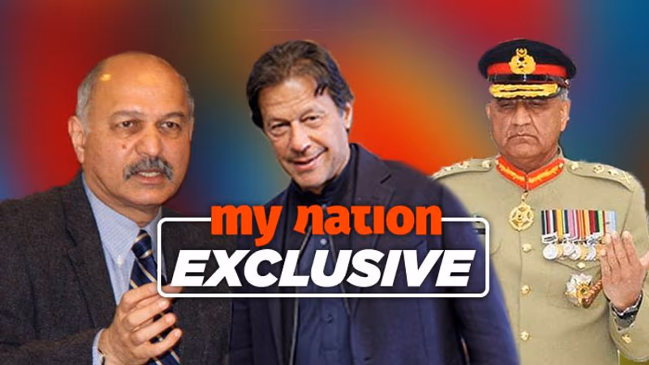 Pakistan senator lets cat out, says Pulwama Pak’s ‘finest hour in 20 years’