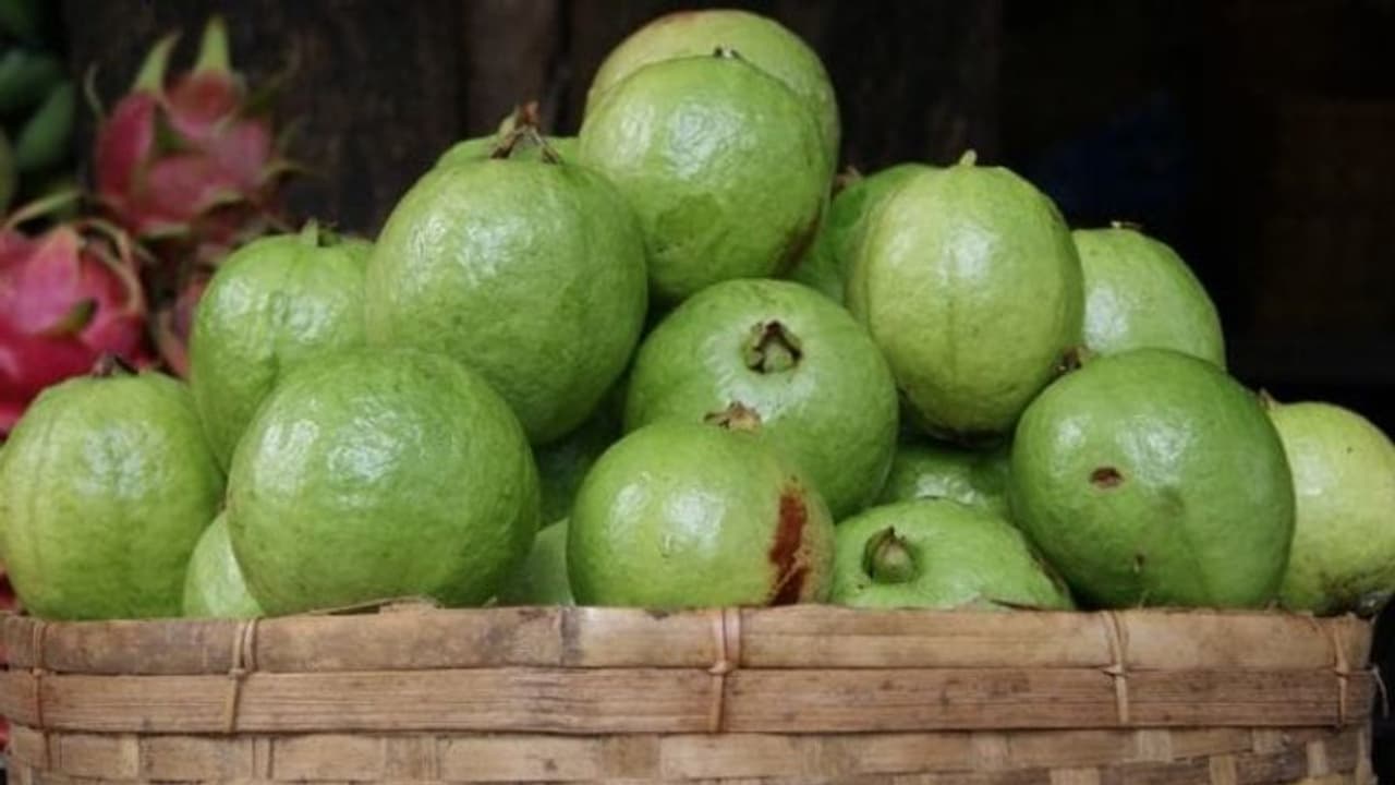 അണുബാധയിൽ നിന്നും സംരക്ഷിക്കും പേരയ്ക്ക... അണുബാധയിൽ നിന്നും സംരക്ഷിക്കും പേരയ്ക്ക...