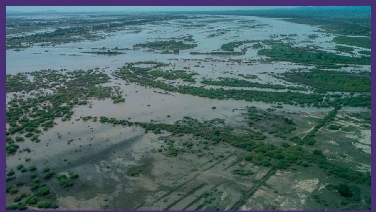 ആഫ്രിക്കയുടെ തെക്കൻ മേഖലയിൽ നാശം വിതച്ച് ചുഴലിക്കാറ്റ്; മരണസംഖ്യ 150 കവിഞ്ഞു ആഫ്രിക്കയുടെ തെക്കൻ മേഖലയിൽ നാശം വിതച്ച് ചുഴലിക്കാറ്റ്; മരണസംഖ്യ 150 കവിഞ്ഞു