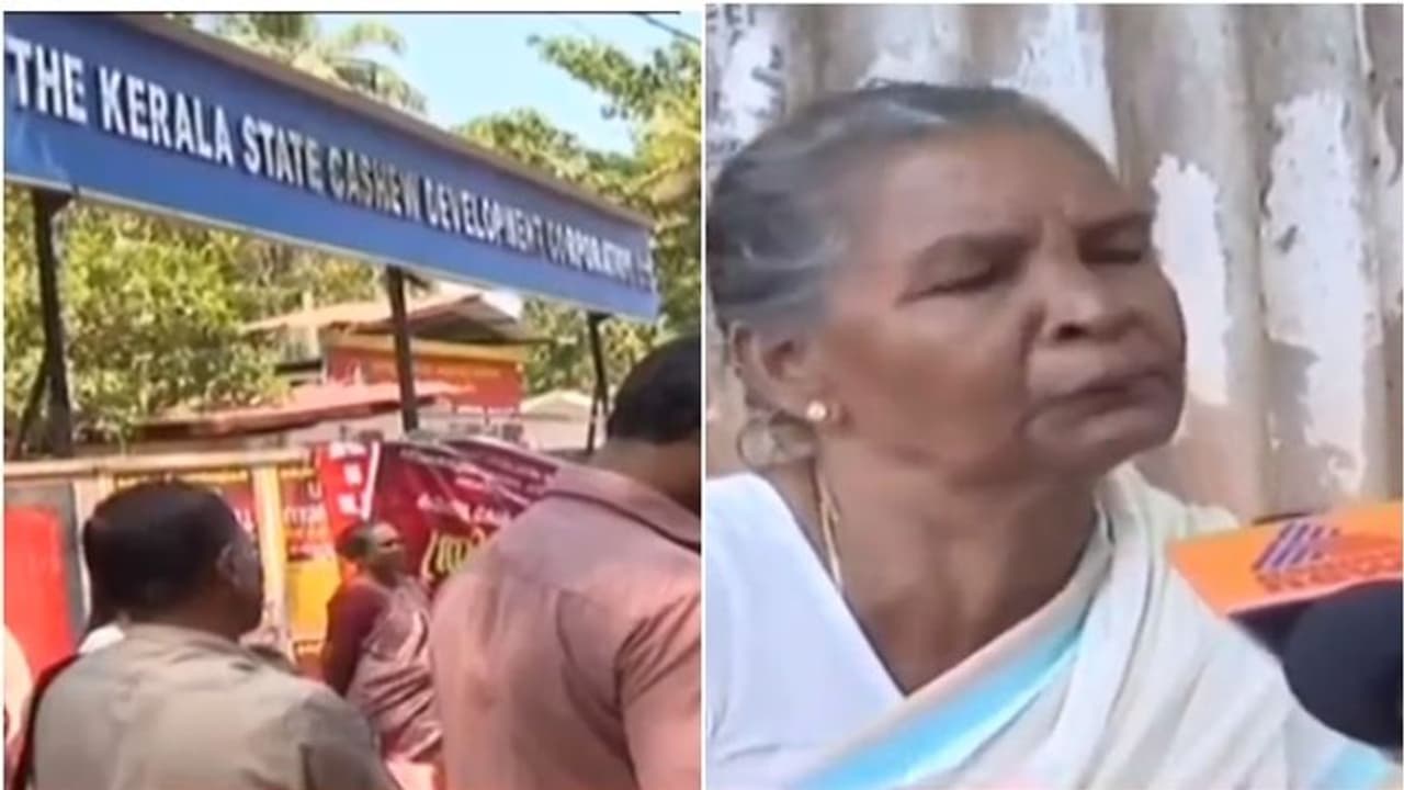 അഞ്ച് പൈസ കിട്ടിയിട്ടില്ല, പണം വാങ്ങി തരുന്നവര്ക്ക് വോട്ടെന്ന് കശുവണ്ടി തൊഴിലാളികള് അഞ്ച് പൈസ കിട്ടിയിട്ടില്ല, പണം വാങ്ങി തരുന്നവര്ക്ക് വോട്ടെന്ന് കശുവണ്ടി തൊഴിലാളികള്