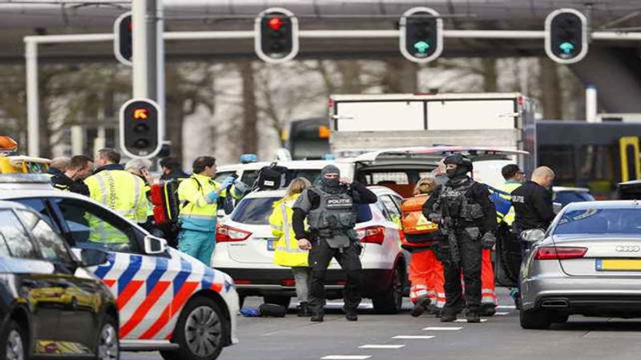 നെതര്ലന്ഡില് വെടിവെയ്പ്പ്; മൂന്ന് പേര് കൊല്ലപ്പെട്ടു നെതര്ലന്ഡില് വെടിവെയ്പ്പ്; മൂന്ന് പേര് കൊല്ലപ്പെട്ടു