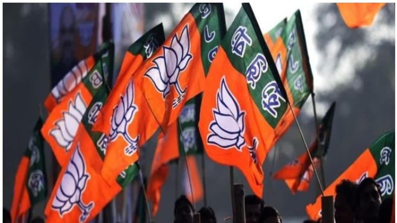 വടകരയിൽ കരുത്തൻ വേണം: ബിജെപി കേന്ദ്ര നേതൃത്വത്തോട് പ്രാദേശിക ഘടകം വടകരയിൽ കരുത്തൻ വേണം: ബിജെപി കേന്ദ്ര നേതൃത്വത്തോട് പ്രാദേശിക ഘടകം