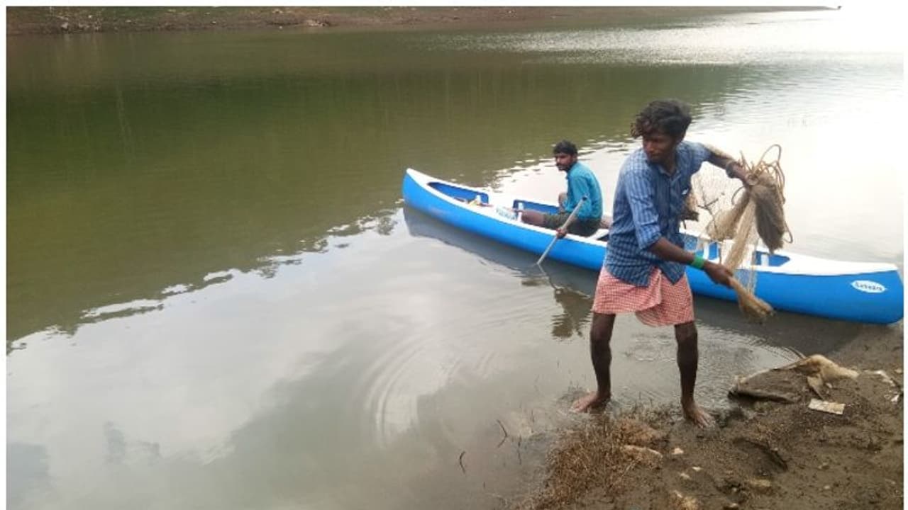 മാട്ടുപ്പെട്ടിയിലെ മത്സ്യബന്ധനത്തിന് ആദിവാസികള്ക്ക് സര്ക്കാരിന്റെ കൈത്താങ്ങ് മാട്ടുപ്പെട്ടിയിലെ മത്സ്യബന്ധനത്തിന് ആദിവാസികള്ക്ക് സര്ക്കാരിന്റെ കൈത്താങ്ങ്