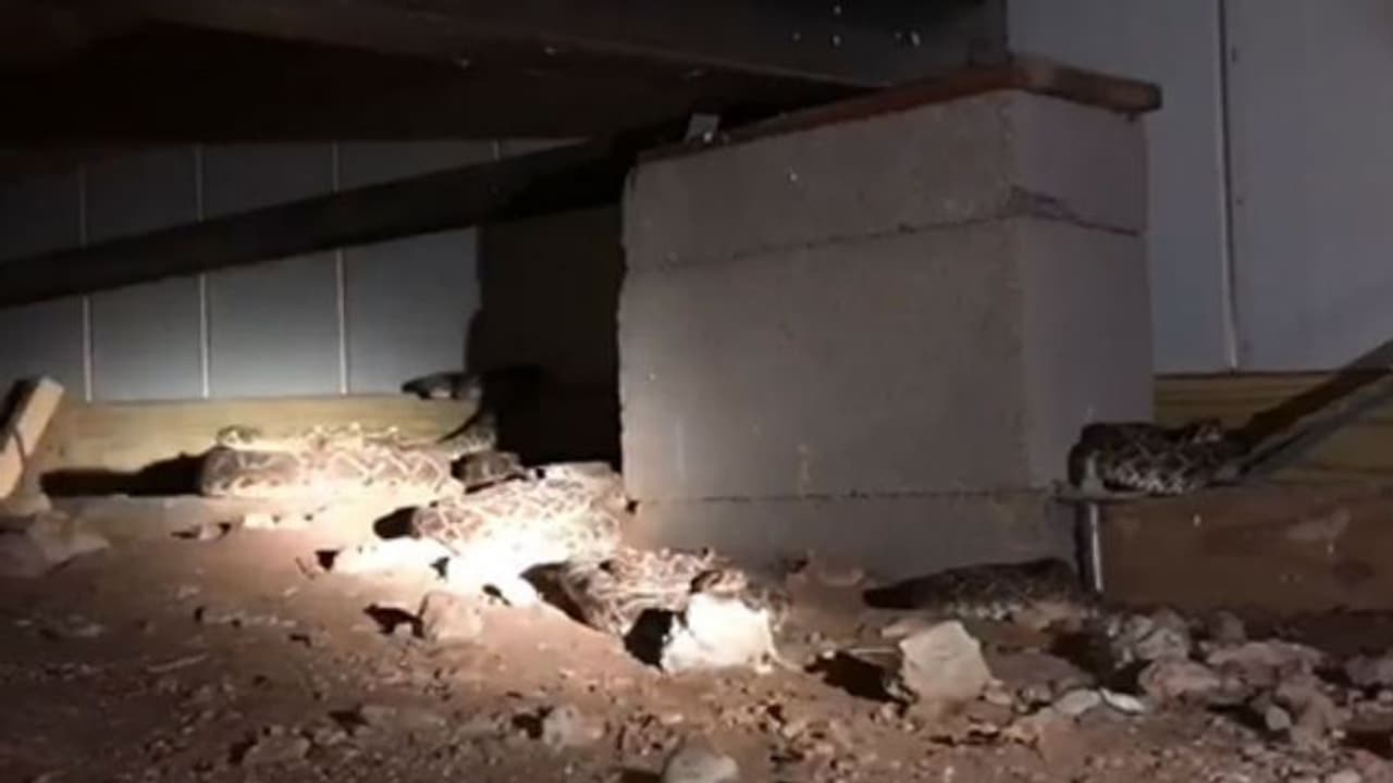 കേബിള് ഇളകിയത് നോക്കാന് പോയി; കണ്ടത് പേടിപ്പെടുത്തുന്ന കാഴ്ച... കേബിള് ഇളകിയത് നോക്കാന് പോയി; കണ്ടത് പേടിപ്പെടുത്തുന്ന കാഴ്ച...