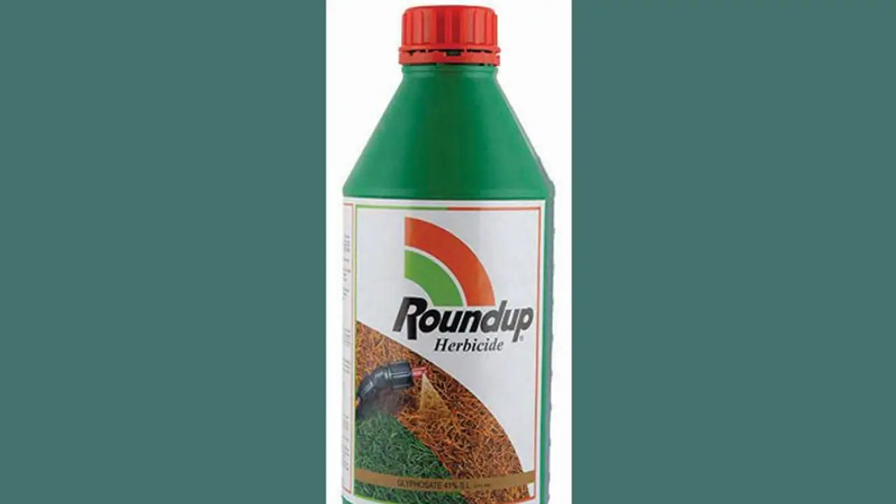 ರೈತರೇ ಹುಷಾರ್: ಮಾನ್ಸಾಂಟೋ ರೌಂಡಪ್ ಕಳೆನಾಶಕ ಕ್ಯಾನ್ಸರ್ಕಾರಕ! ರೈತರೇ ಹುಷಾರ್: ಮಾನ್ಸಾಂಟೋ ರೌಂಡಪ್ ಕಳೆನಾಶಕ ಕ್ಯಾನ್ಸರ್ಕಾರಕ!