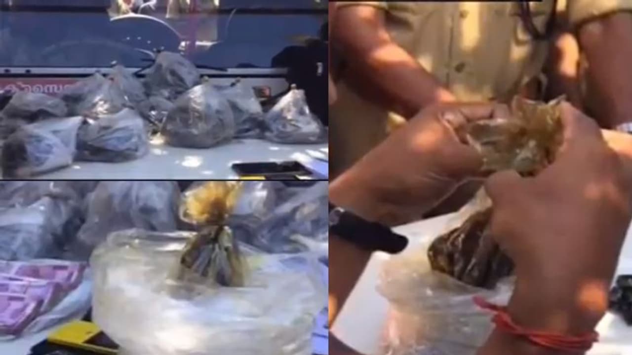 തലസ്ഥാനത്ത് വന് ലഹരി വേട്ട; 13 കോടി രൂപയുടെ ഹാഷിഷ് ഓയില് പിടികൂടി തലസ്ഥാനത്ത് വന് ലഹരി വേട്ട; 13 കോടി രൂപയുടെ ഹാഷിഷ് ഓയില് പിടികൂടി