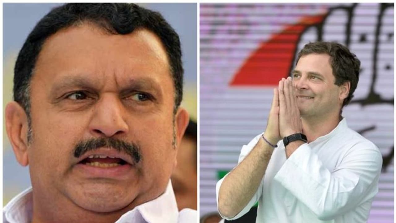 'സോണിയയും പ്രിയങ്കയും ദില്ലിയിലുണ്ട്', രാഹുല്‍ എവിടെയെന്ന ചോദ്യം തരംതാണതെന്ന് കെ മുരളീധരന്‍