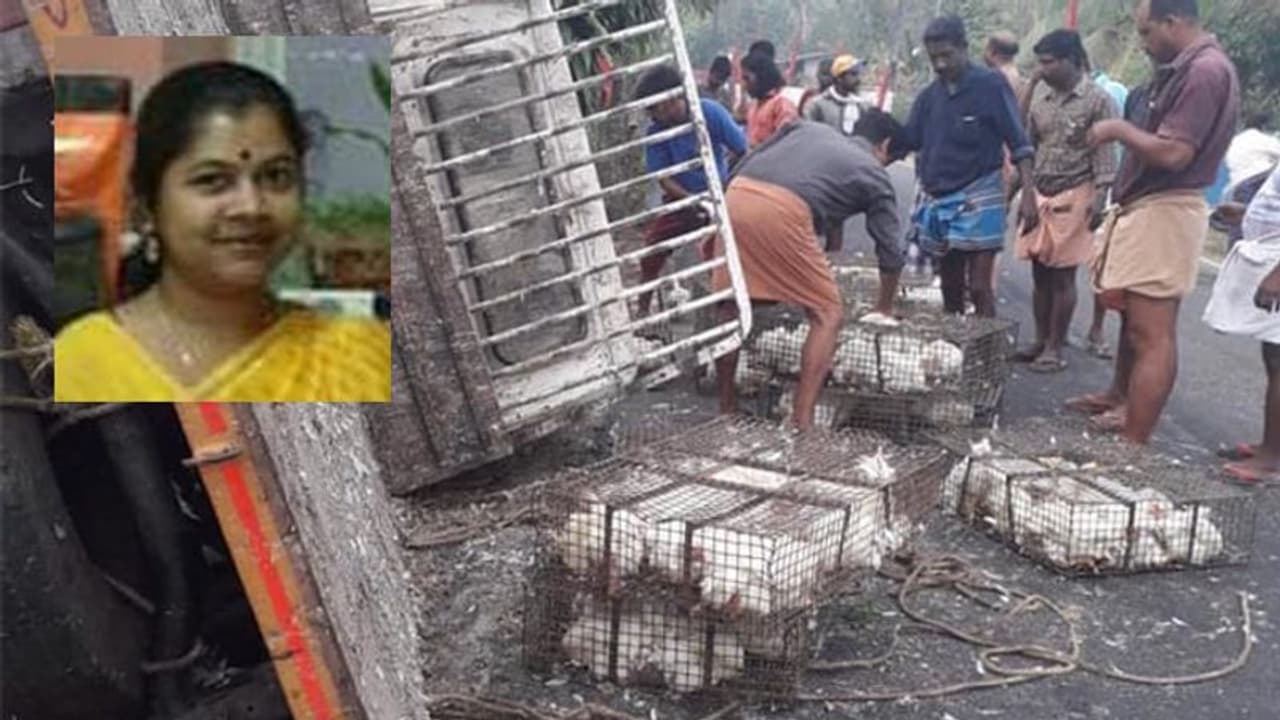 കുർബാനയ്ക്ക് പോകവേ അമിത വേഗതയിലെത്തിയ പിക്കപ്പ് വാനിടിച്ച് അദ്ധ്യാപിക മരിച്ചു കുർബാനയ്ക്ക് പോകവേ അമിത വേഗതയിലെത്തിയ പിക്കപ്പ് വാനിടിച്ച് അദ്ധ്യാപിക മരിച്ചു