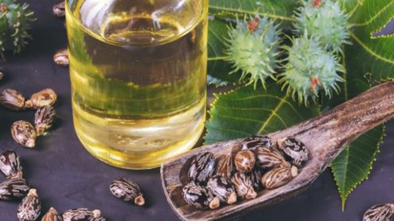 താരൻ അകറ്റാൻ ആവണക്കെണ്ണ; ഉപയോഗിക്കേണ്ട വിധം താരൻ അകറ്റാൻ ആവണക്കെണ്ണ; ഉപയോഗിക്കേണ്ട വിധം