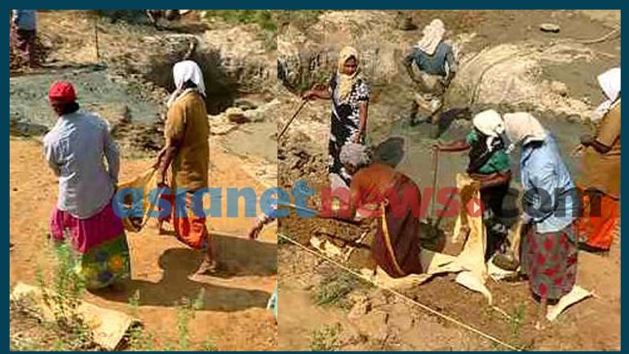 തൊഴിലുറപ്പ് പദ്ധതിയില്‍ പ്രതിസന്ധി; സംസ്ഥാനത്തെ 15 ലക്ഷം തൊഴിലാളികൾക്ക് അഞ്ച് മാസമായി കൂലിയില്ല