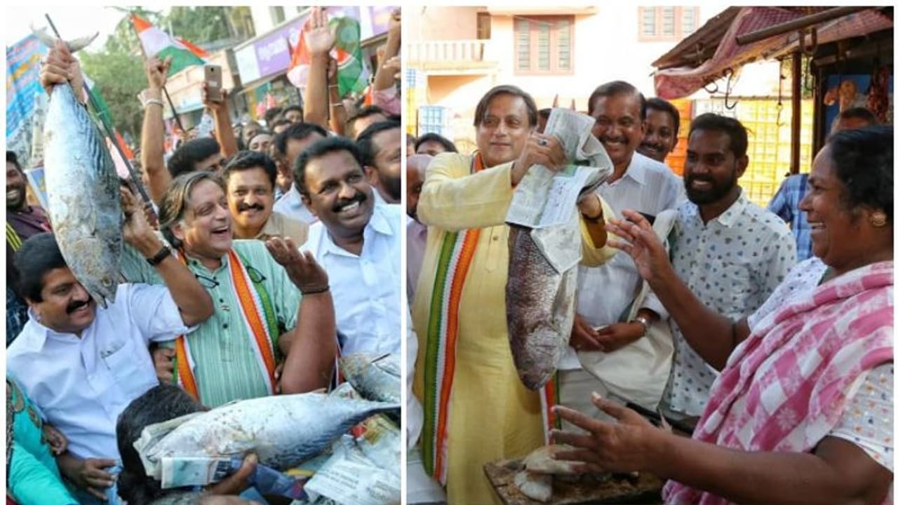 ഒടുവിൽ ചൂരമീൻ വെറും കയ്യിൽ പൊക്കിയെടുത്ത് തരൂർ; തീരദേശം കേന്ദ്രീകരിച്ച് വൻ പ്രചാരണം ഒടുവിൽ ചൂരമീൻ വെറും കയ്യിൽ പൊക്കിയെടുത്ത് തരൂർ; തീരദേശം കേന്ദ്രീകരിച്ച് വൻ പ്രചാരണം