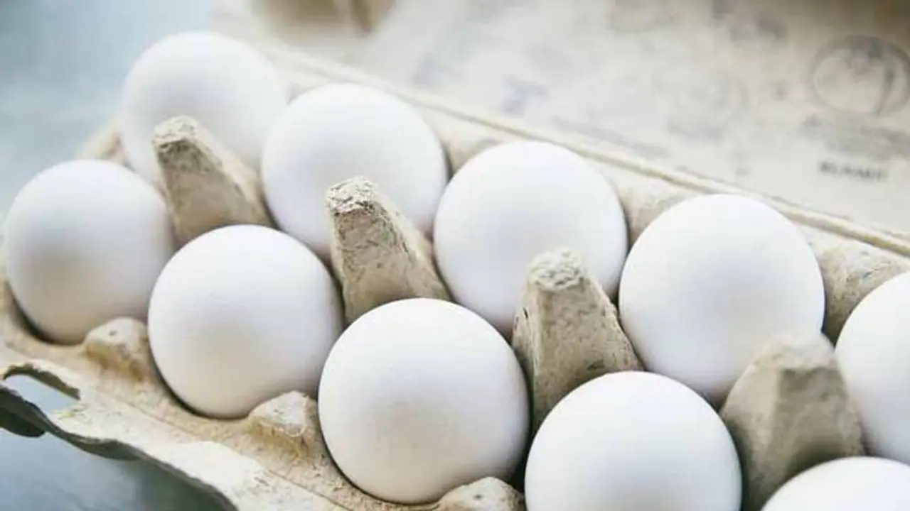 కోడిగుడ్డు కోసం గొడవ: యువకుడిని చితకబాదిన రౌడీషీటర్లు కోడిగుడ్డు కోసం గొడవ: యువకుడిని చితకబాదిన రౌడీషీటర్లు