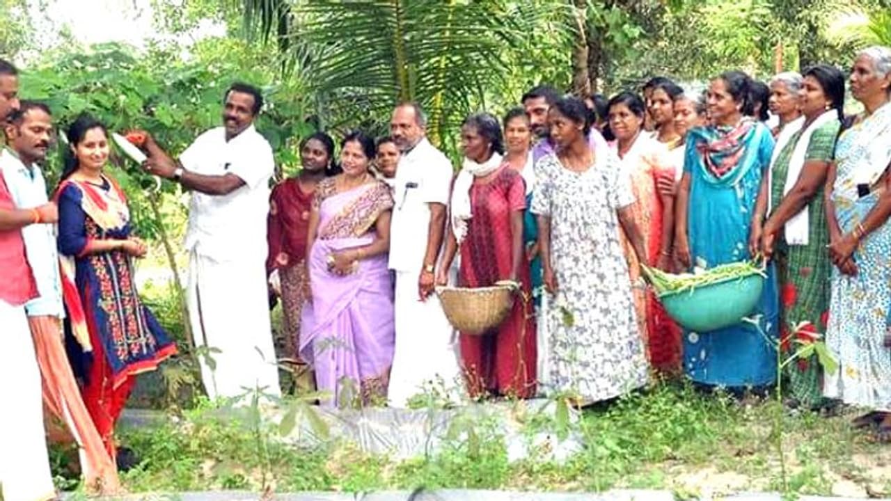 മനസ് വെച്ചാൽ എംബിഎക്കാരനും ജൈവകർഷകനാകാം; ഒന്നര ഏക്കറിൽ നൂറുമേനി കൊയ്ത് അരുണ്കുമാര് മനസ് വെച്ചാൽ എംബിഎക്കാരനും ജൈവകർഷകനാകാം; ഒന്നര ഏക്കറിൽ നൂറുമേനി കൊയ്ത് അരുണ്കുമാര്