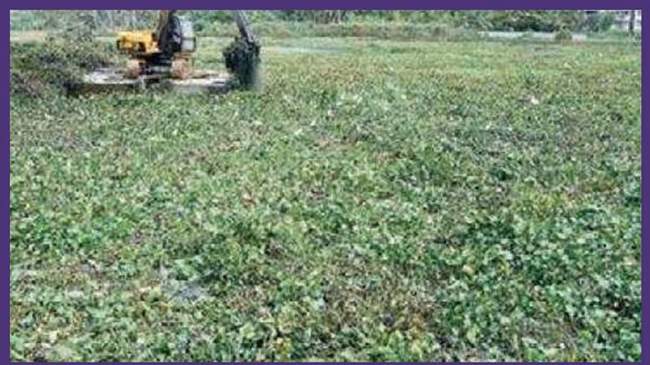 പത്മനാഭസ്വാമി ക്ഷേത്രത്തിന് സമീപമുള്ള പാത്രക്കുളം സർക്കാർ ഏറ്റെടുക്കും പത്മനാഭസ്വാമി ക്ഷേത്രത്തിന് സമീപമുള്ള പാത്രക്കുളം സർക്കാർ ഏറ്റെടുക്കും