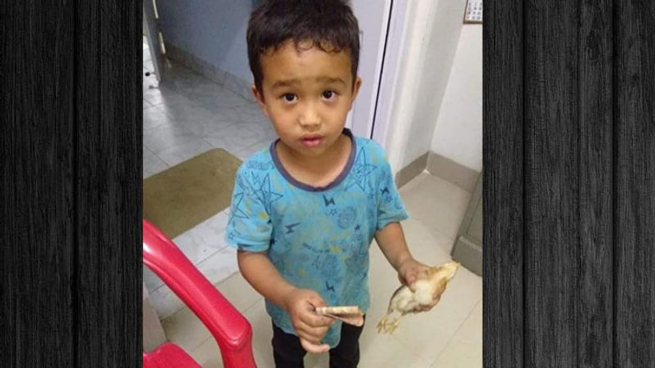 'അയ്യോ കോഴിക്കുഞ്ഞിനെ രക്ഷിക്കണേ...' അറിയാതെ സൈക്കിള് കയറിപ്പോയ കോഴിക്കുഞ്ഞുമായി ആശുപത്രിയിലെത്തിയ കുട്ടി 'അയ്യോ കോഴിക്കുഞ്ഞിനെ രക്ഷിക്കണേ...' അറിയാതെ സൈക്കിള് കയറിപ്പോയ കോഴിക്കുഞ്ഞുമായി ആശുപത്രിയിലെത്തിയ കുട്ടി