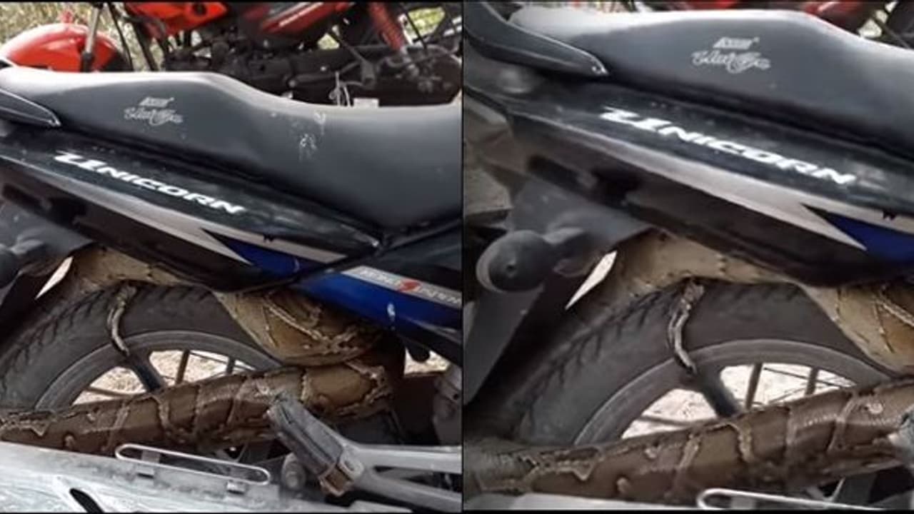 ಬೈಕ್‌ ಸೀಟ್ ಕೆಳಗಡೆ ಹೆಬ್ಬಾವು ಪ್ರತ್ಯಕ್ಷ ವೀಡಿಯೋ ವೈರಲ್!