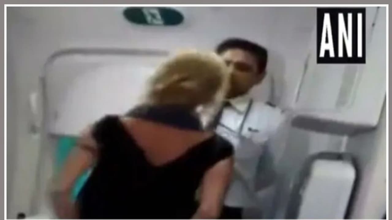 മദ്യം നിരസിച്ച വിമാന ജീവനക്കാരനെതിരെ വംശീയ അധിക്ഷേപം; അഭിഭാഷകയ്ക്ക് ആറുമാസം തടവ്