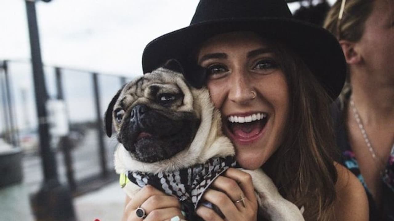 বাড়িতে এই পোষ্যগুলি থাকলে ফিরবে সৌভাগ্য, দূর হবে নেগেটিভ শক্তি বাড়িতে এই পোষ্যগুলি থাকলে ফিরবে সৌভাগ্য, দূর হবে নেগেটিভ শক্তি