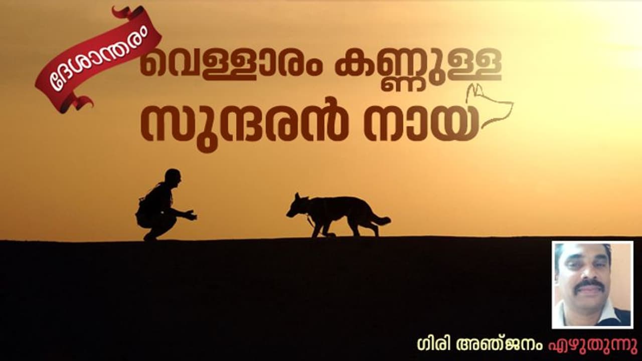 മരണത്തിന് തൊട്ടുമുമ്പ് എന്തായിരിക്കും അവനെന്നോട് പറയാന് ശ്രമിച്ചത്? മരണത്തിന് തൊട്ടുമുമ്പ് എന്തായിരിക്കും അവനെന്നോട് പറയാന് ശ്രമിച്ചത്?