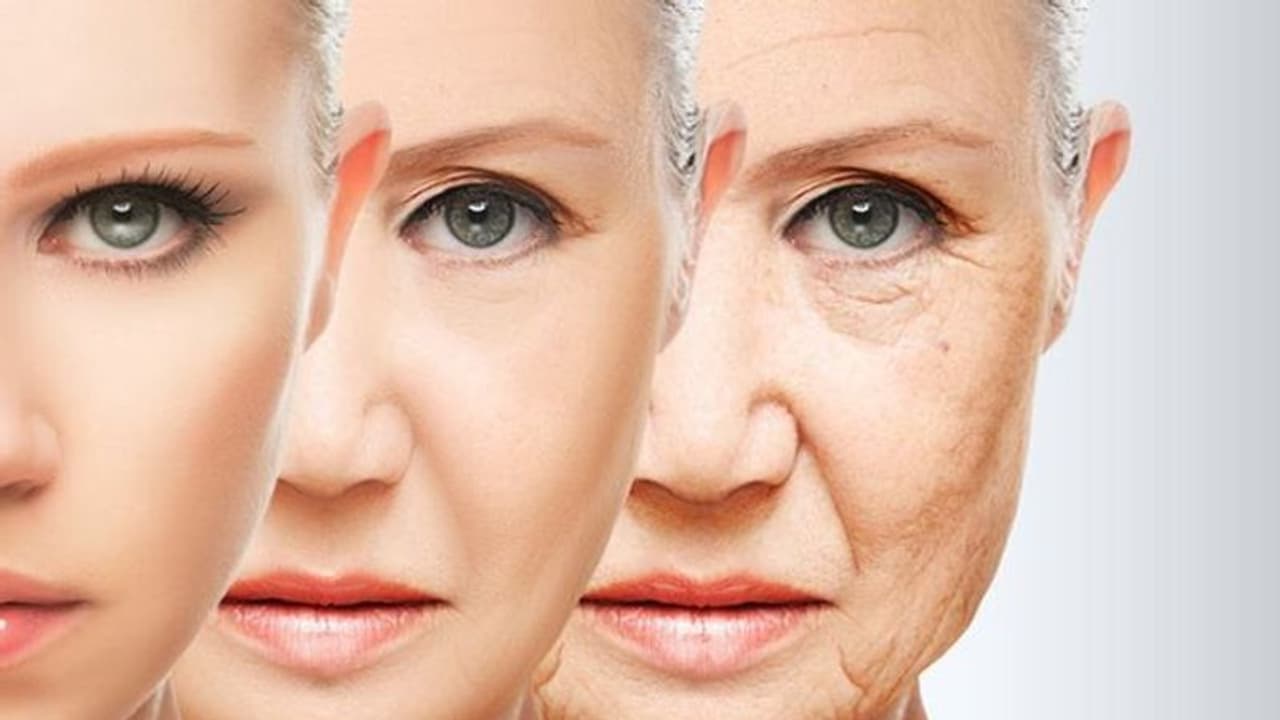 ചെറുപ്പം നിലനിർത്താൻ സഹായിക്കുന്ന 5 ഭക്ഷണങ്ങൾ ചെറുപ്പം നിലനിർത്താൻ സഹായിക്കുന്ന 5 ഭക്ഷണങ്ങൾ