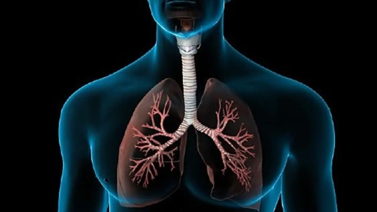 നിങ്ങളുടെ ശ്വാസകോശം അപകടത്തിലാണ്; ഈ സൂചനകള്‍ അവഗണിക്കരുത്
