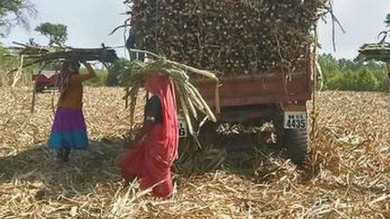 ഗര്ഭപാത്രമില്ലാത്ത സ്ത്രീകളുടെ നാട്!; കേട്ടാല് നടുങ്ങുന്ന കഥ... ഗര്ഭപാത്രമില്ലാത്ത സ്ത്രീകളുടെ നാട്!; കേട്ടാല് നടുങ്ങുന്ന കഥ...