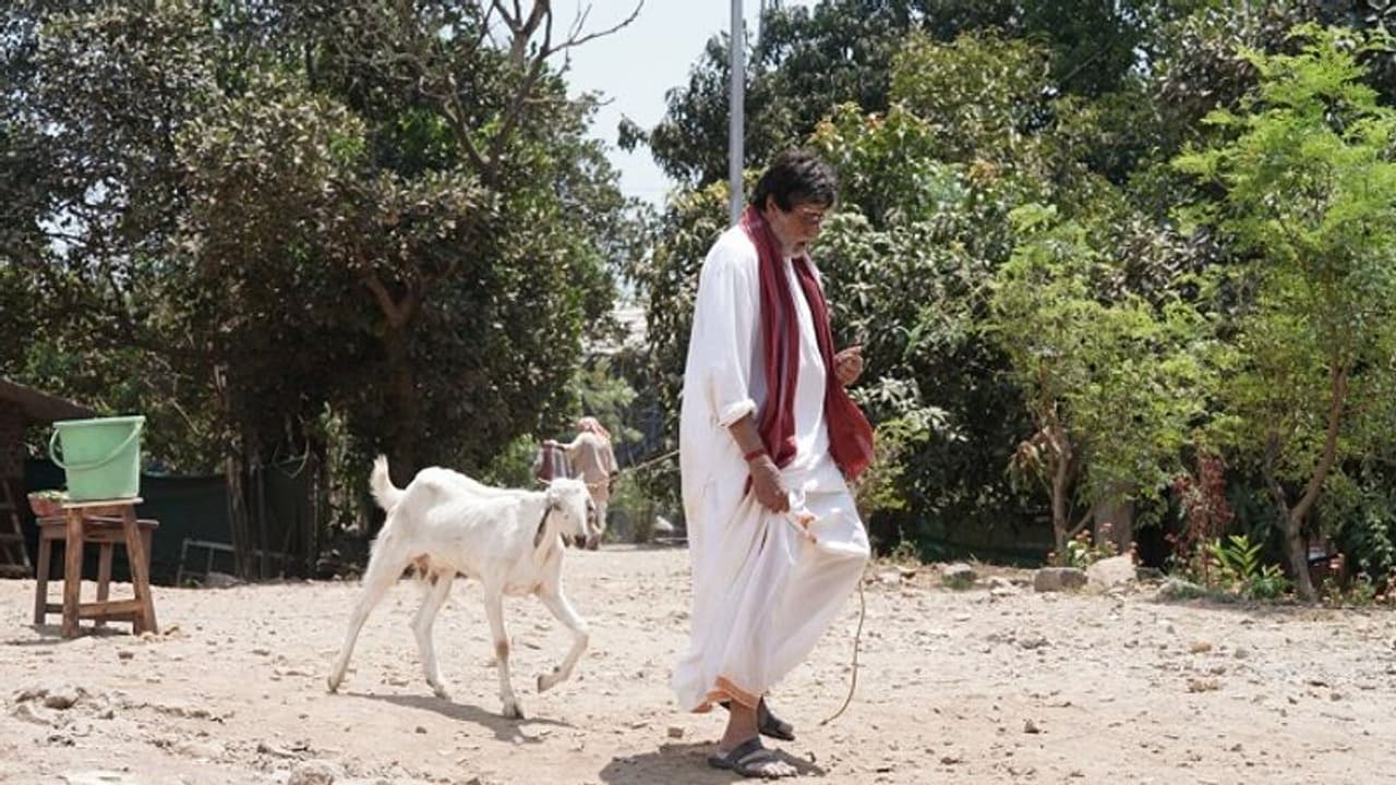 ಎಲ್ಲರನ್ನು ಬಿಟ್ಟು ಮೇಕೆ ಜೊತೆ ವಾಕ್ ಮಾಡ್ತಾರೆ ಬಿಗ್ ಬಿ!