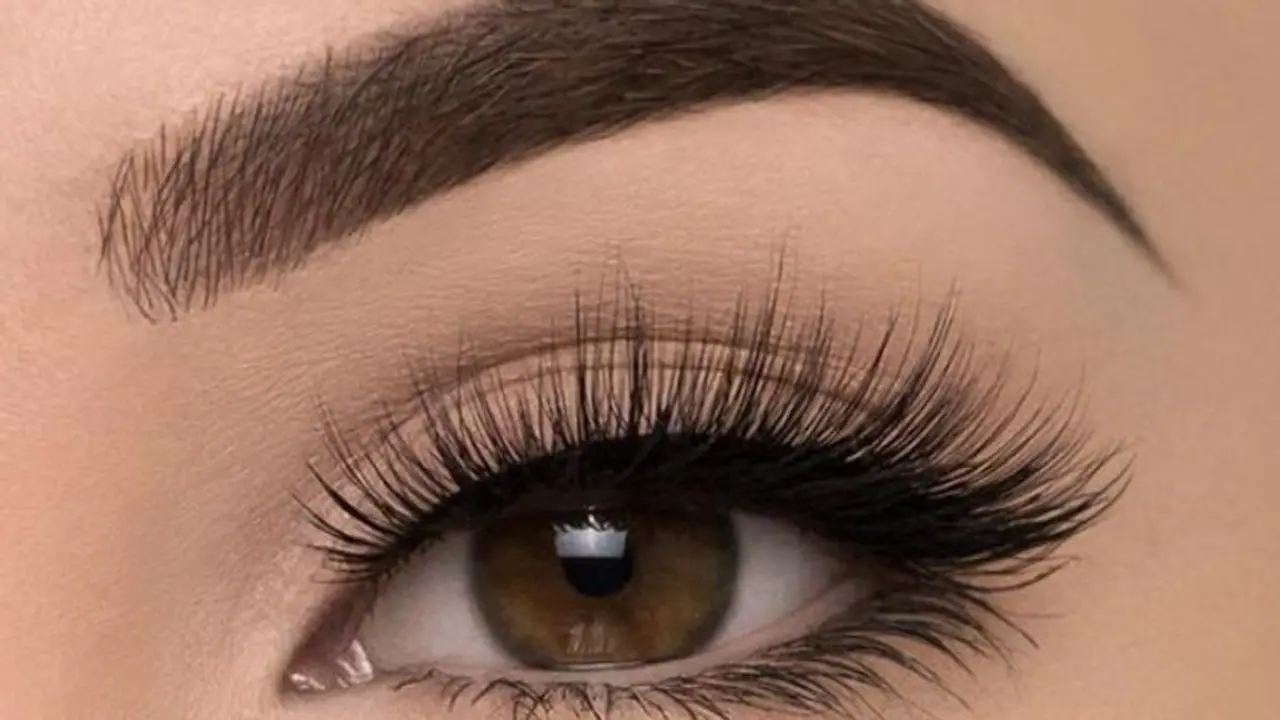 চোখের পাতা ঘন হবে ঘরোয়া উপায়, রইল চারটি উপাদানের হদিশ, জেনে নিন কী করবেন চোখের পাতা ঘন হবে ঘরোয়া উপায়, রইল চারটি উপাদানের হদিশ, জেনে নিন কী করবেন