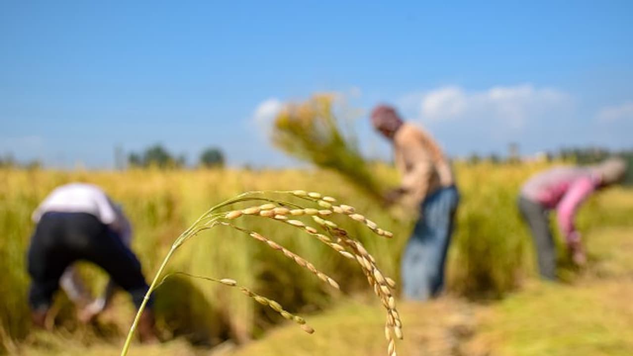 How Modi govt fixed UPA era food inflation mess