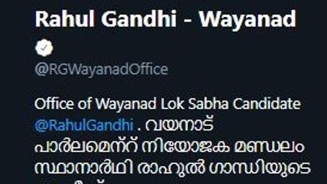 After 'safe' Wayanad seat, Rahul Gandhi now needs second Twitter account