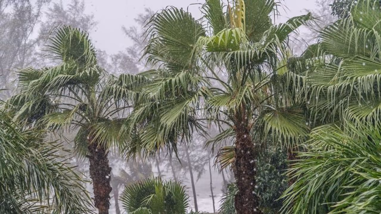 ರಾಜ್ಯದಲ್ಲಿ ಭಾರೀ ಮಳೆ ಮುನ್ಸೂಚನೆ : ಬೆಳಗ್ಗೆ ಬೇಗ ಮತದಾನ ಮಾಡಿ ರಾಜ್ಯದಲ್ಲಿ ಭಾರೀ ಮಳೆ ಮುನ್ಸೂಚನೆ : ಬೆಳಗ್ಗೆ ಬೇಗ ಮತದಾನ ಮಾಡಿ