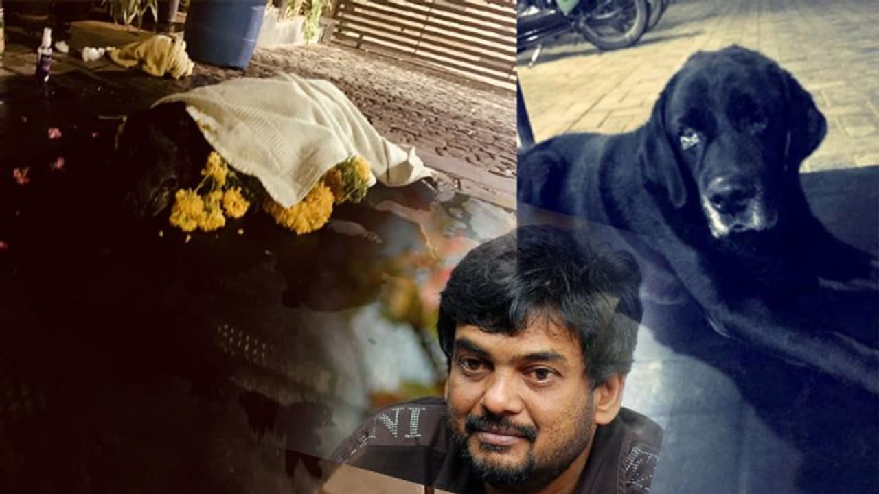 పూరి వల్ల హార్టయిన జాక్స్.. ఇక లేడు! పూరి వల్ల హార్టయిన జాక్స్.. ఇక లేడు!