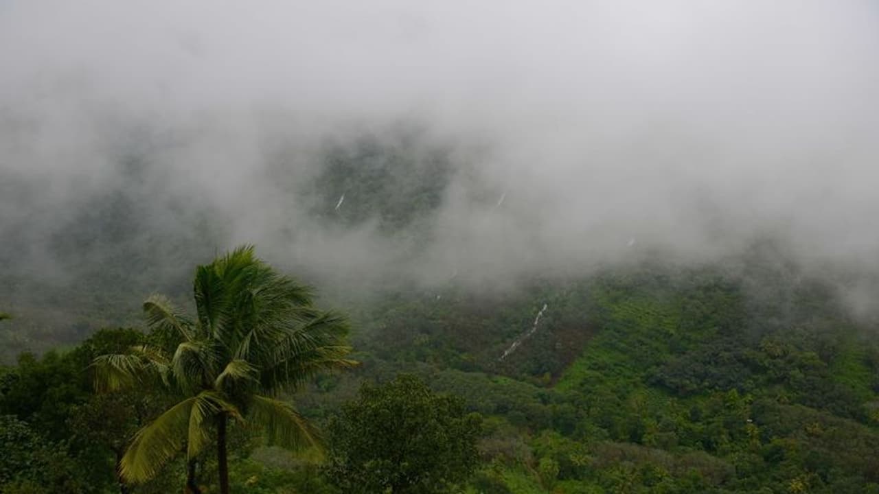 കേരളത്തിലെ 131 വില്ലേജുകൾ പട്ടികയിൽ; പശ്ചിമഘട്ടത്തിലെ പരിസ്ഥിതിലോല പ്രദേശം, കരട് വിജ്ഞാപനം പുറത്തിറക്കി 