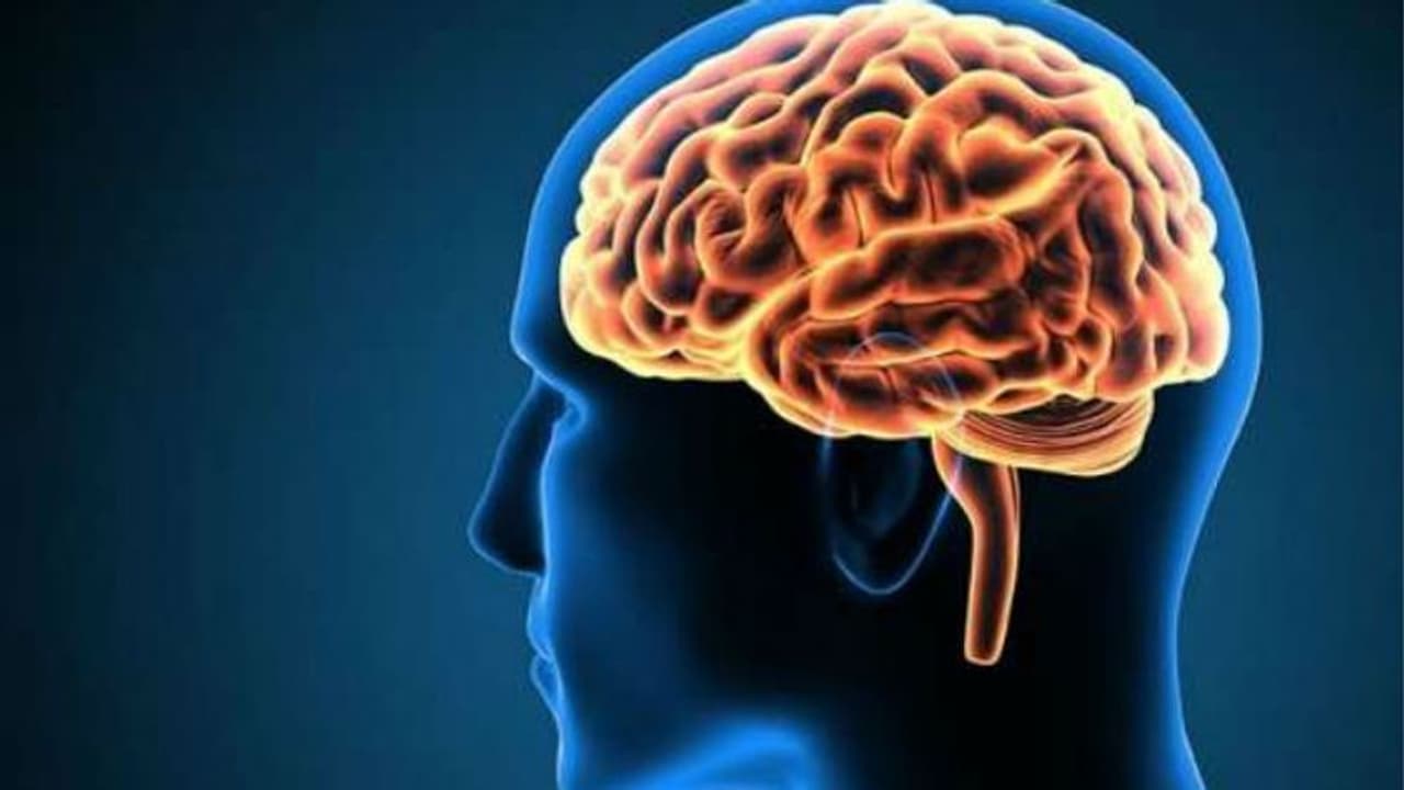 Did you know, people who play drums have different brain function? Read this